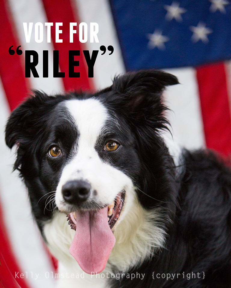 Vote For Riley